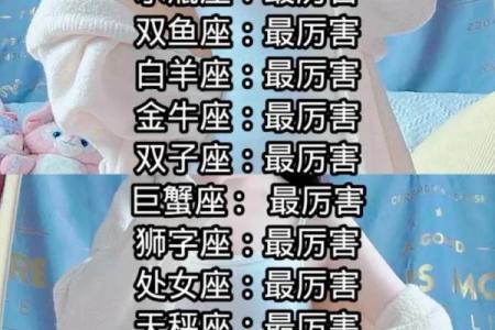 12星座适合什么搭配