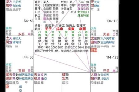 紫薇斗数流禄
