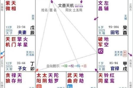 紫薇斗数如何看工作变化
