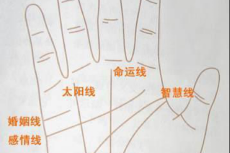 财运线算命