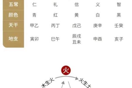 八字命理基础知识八字算命入门