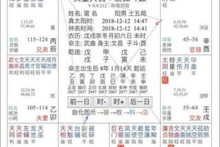 紫薇斗数对财库的影响