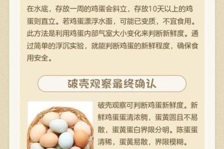 鸡蛋看病人吉凶,看鸡蛋算命怎么回事