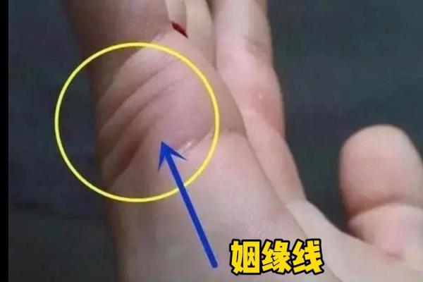 算命姻缘牵线