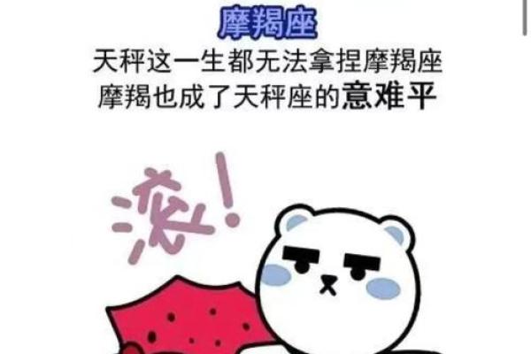 天秤座男生和什么星座最配 天秤男遇见真爱的状态