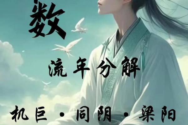 紫薇斗数流年看考试
