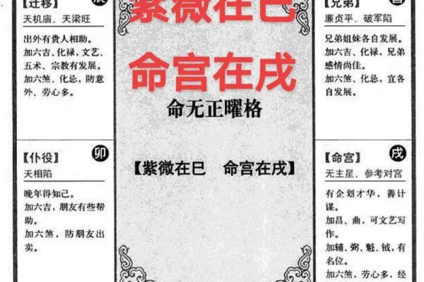 紫微斗数术语解释之：格局