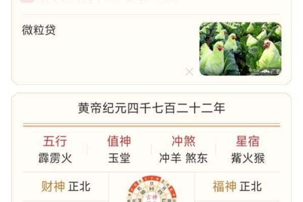 巳时算命,巳时出生的人运势
