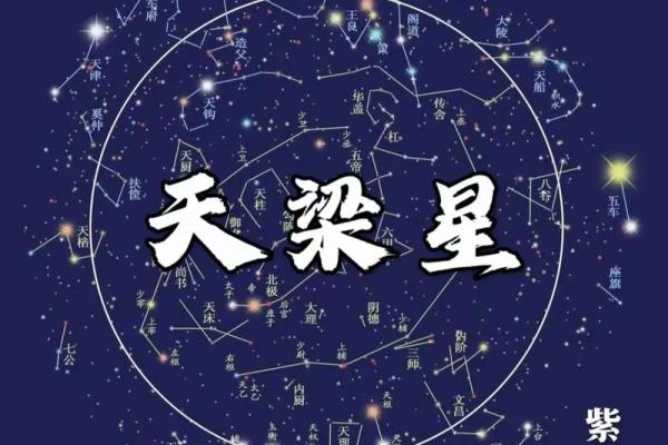 紫薇斗数性格怪异