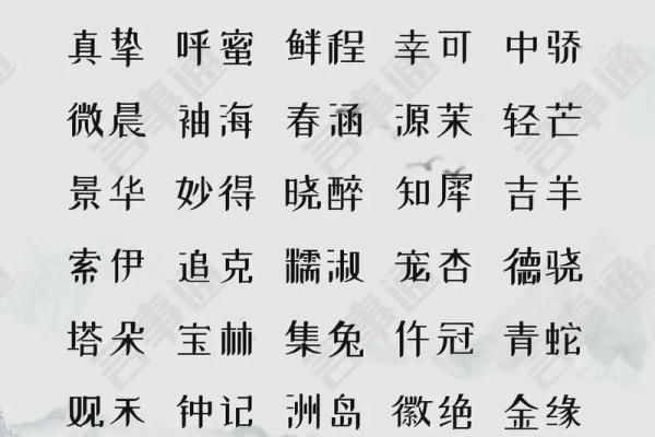 影视传媒公司起名大全-名字大全-姓名学-华易算命网姓名