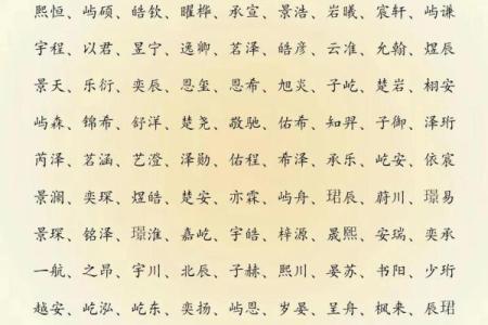 2019年4月21号子时出生的男孩要怎么起名字姓名