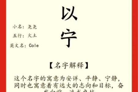 2019年3月16号巳时出生的男孩要怎么起名字姓名