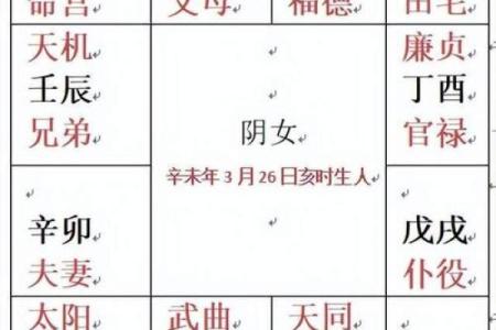 紫微斗数的排盘方法步骤