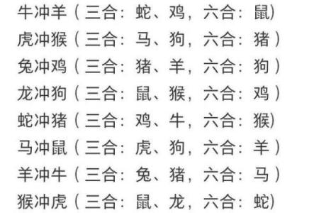 属鼠和属鸡的八字合不合得来,属鸡的跟属鼠的合财吗