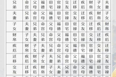 免费查紫薇星盘入宫是什么意思