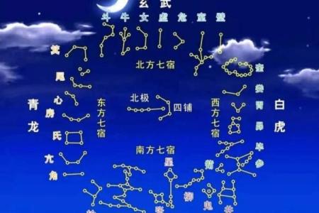紫薇斗数星宿有哪些