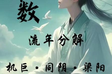 流年紫薇斗数空曜