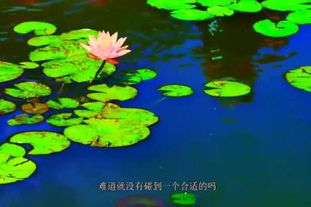 燕郊算命