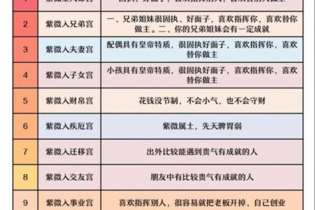 紫微斗数术语解释之：四化星