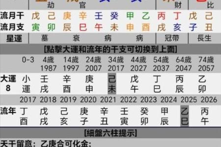 丁卯八字最厉害的格局,古今丁卯日出生的富贵八字