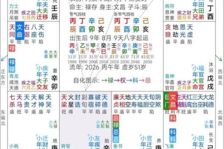 属于紫薇斗数