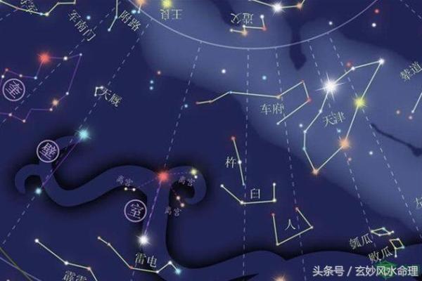 紫薇斗数野性美