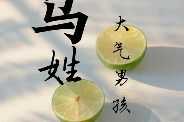 给四月份出生属马的男宝宝取什么名字好姓名