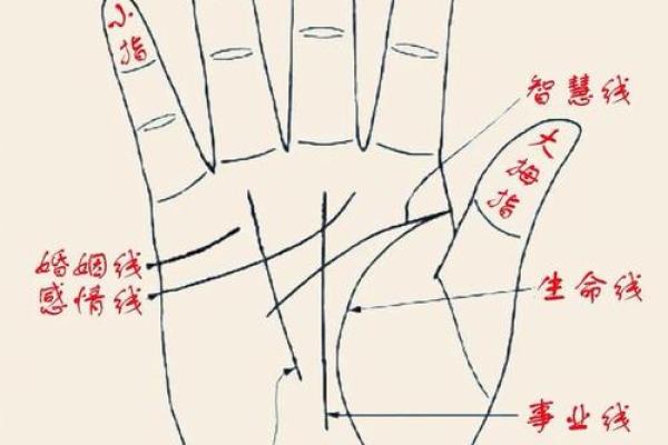 男手痣相图解算命