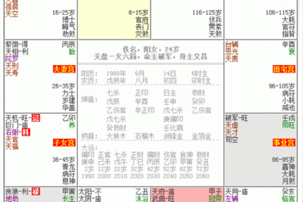 紫薇斗数在排盘