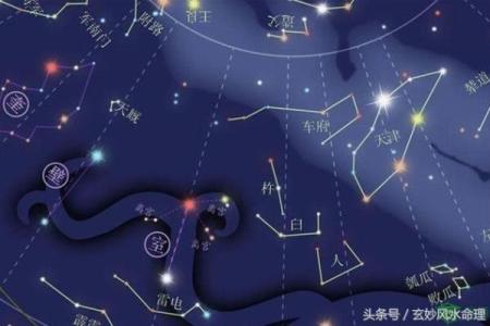 紫薇斗数野性美