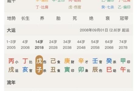 八字年运