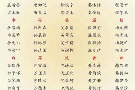 2019年5月13号丑时出生的男孩如何起名姓名