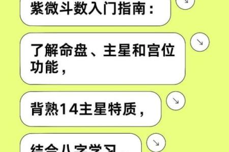 紫薇斗数与数术