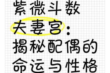 紫微斗数孤 紫微斗数孤辰在夫妻宫？