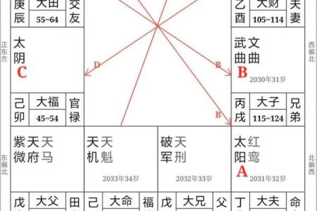 紫薇斗数灾