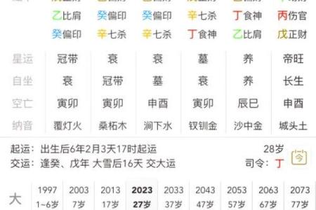 解读八字排盘