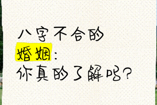怎么看两个人的八字合不合,算两个人的生辰八字合不合