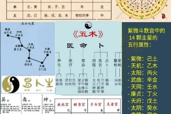 学紫薇斗数