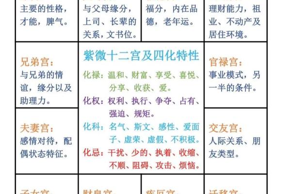 紫薇斗数入门术语