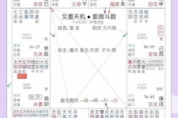 紫薇斗数星盘预测