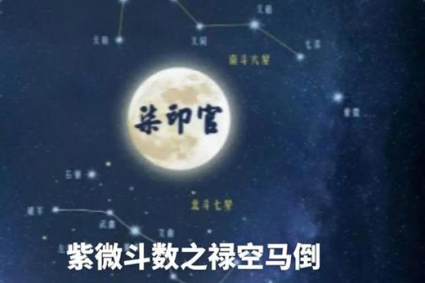 紫微斗数里的禄是什么意思 紫薇禄存星？