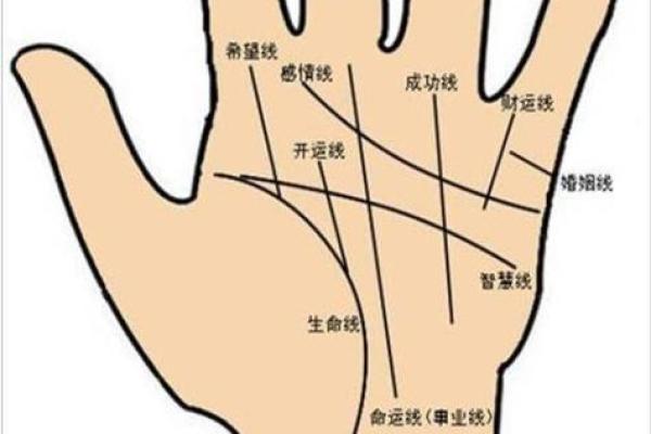 李向东：讲解算命