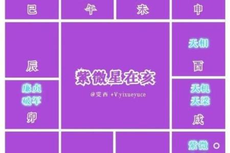 紫薇斗数武职