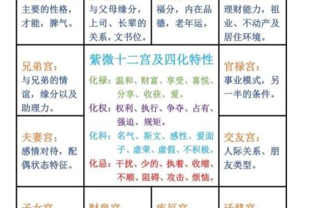 紫薇斗数入门术语