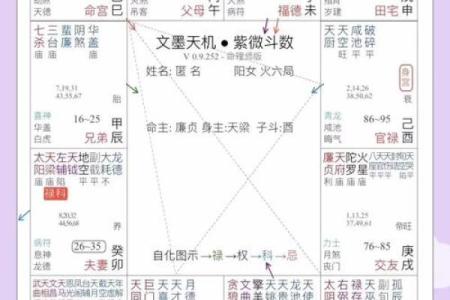 紫薇斗数星盘预测
