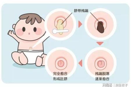 肚脐算命,哪种肚脐眼是富贵相