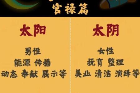 紫薇斗数太阴守事业