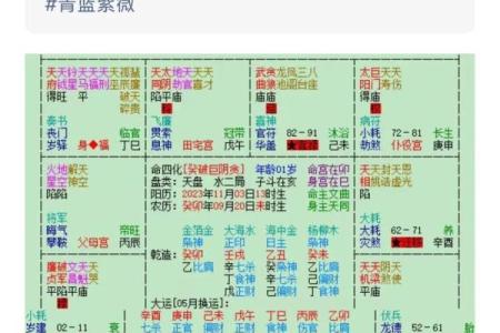 紫薇斗数紫薇疾厄