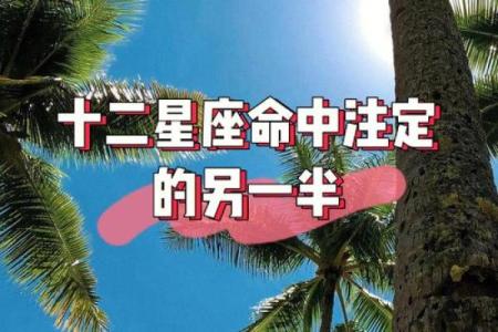 用姓名测星座配对准吗男 用姓名测另一半姓什么？