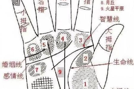 手纹线看相 手纹看相算命图解
